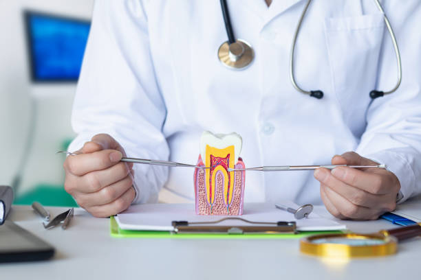 Best 24-Hour Emergency Dental Care in Park City, TN